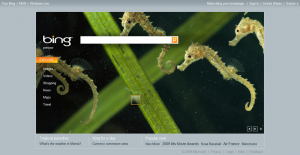 800px-Bing_(search_engine)_homepage_screenshot